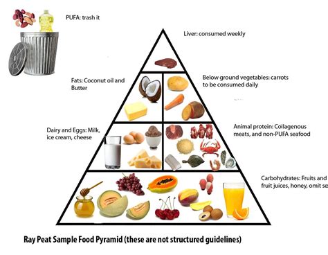 ray peat forum|what is ray peat diet.